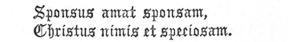  Sponsus amat sponsam,  Christus nimis et speciosam.