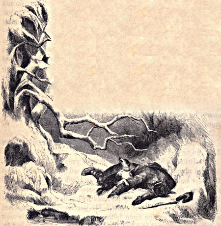 The hunter lying in the snow, with Bruno over him