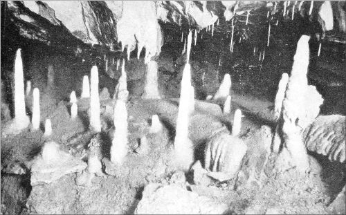 STALAGMITE PILLARS IN GOUGH'S GREAT CAVERN.