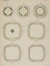 Plate 5 depicts Figures 21, 22, 23, 24, 25, 26 and 27