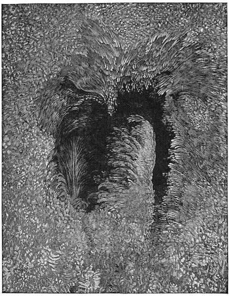 A typical sun-spot. (From the Popular Science Monthly, 1885.)