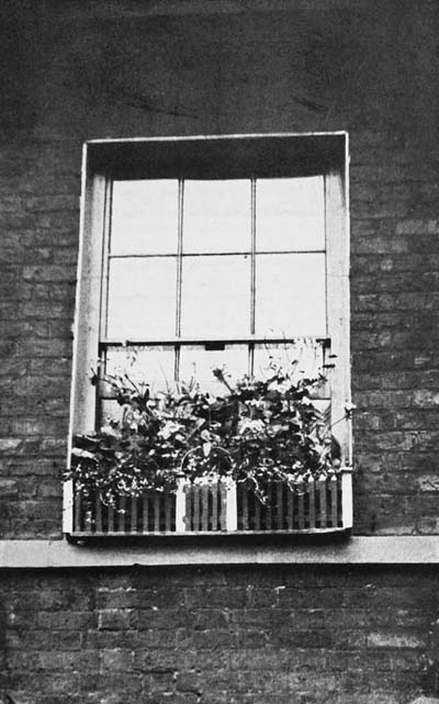 A POOR MAN'S WINDOW-BOX AT MILLWALL