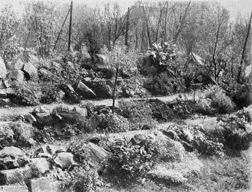 PART OF ROCK-GARDEN, CROOK'S HILL BOARD-SCHOOL