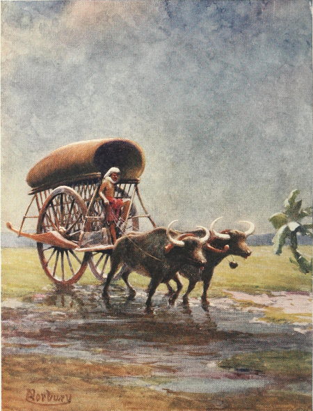 A BUFFALO CART