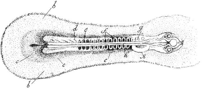 Abb. 23