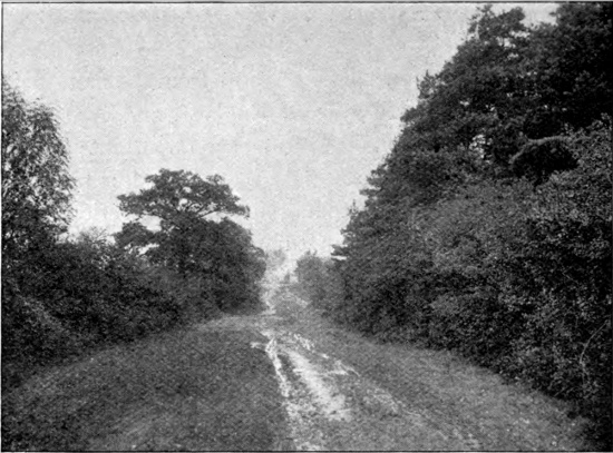 The Ermine Street at Hertford Heath