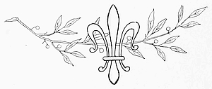 (Decorative section ending)