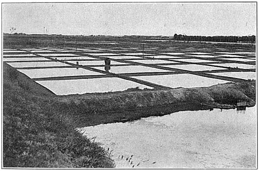 Salt beds, Pangasinan