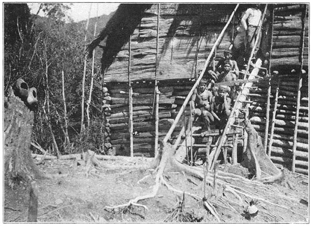 Afb. 53. Tinggalansch huis uit de Tidoengsche Landen. (Voorzijde).