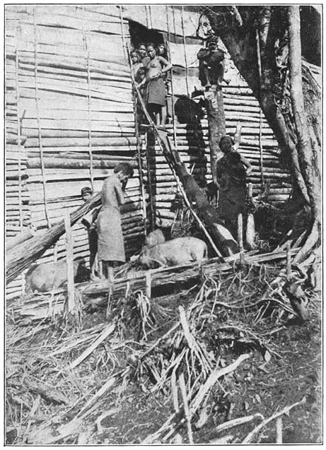 Afb. 54. Tinggalansch huis uit de Tidoengsche Landen. (Achterzijde).