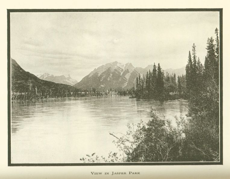 View in Jasper Park