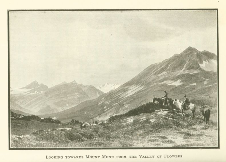 Looking towards Mount Munn from the Valley of Flowers