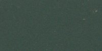 XLVII_29′′′′_m_Dull_Greenish_Black_(1)