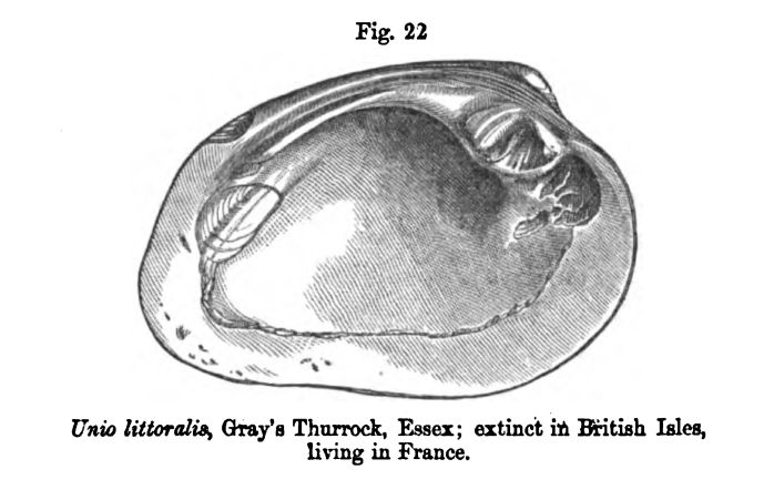 Figure 22. Contorted Strata 