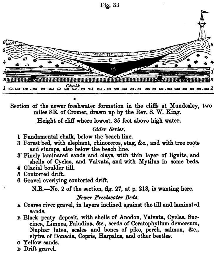 Figure 33. Newer Freshwater Formation 