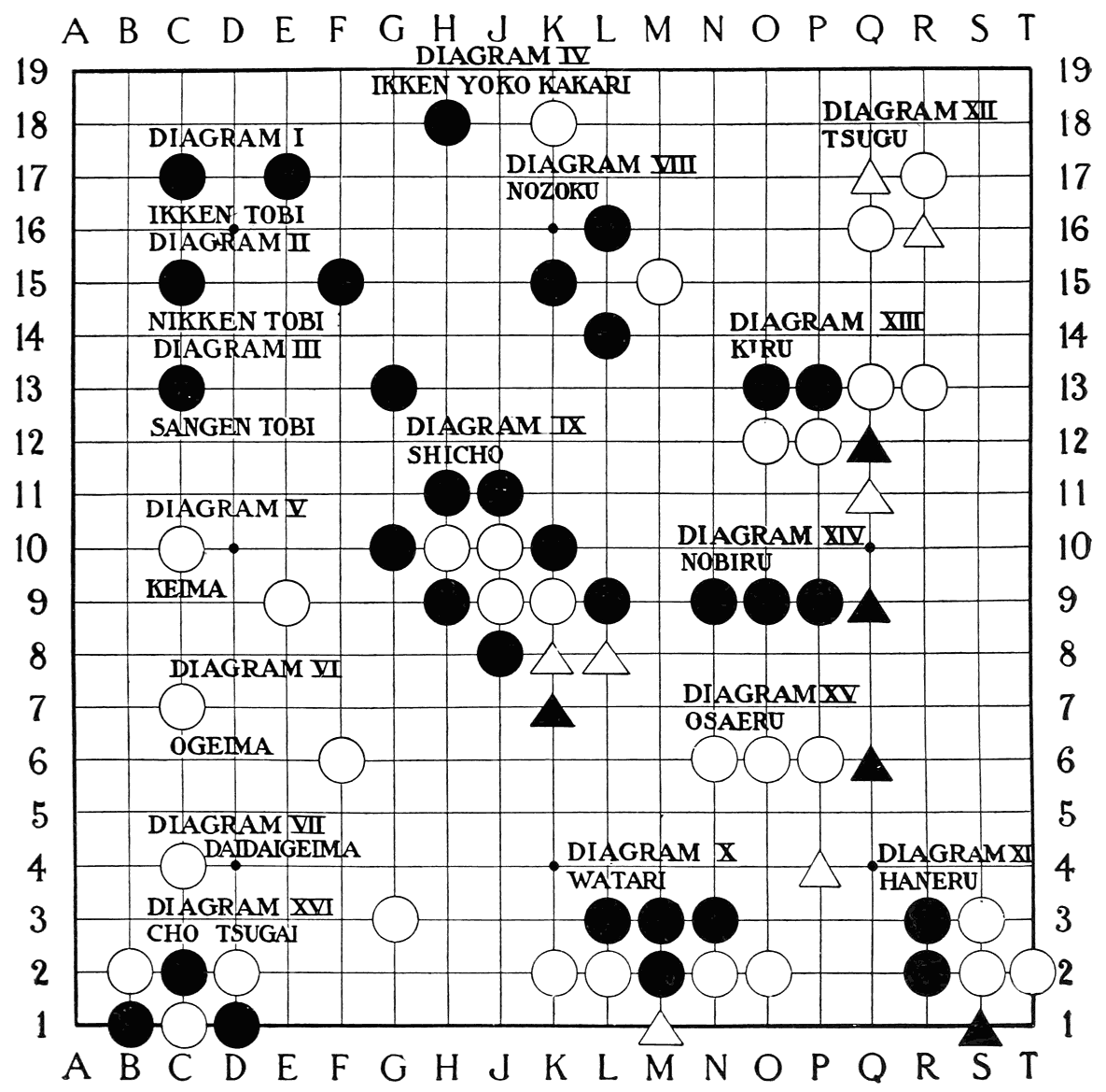 Plate 13