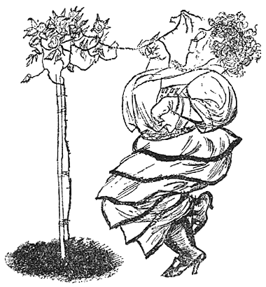 As the woman bent down to pick the flowers, the Rose-bush hit her in the face with a twig.