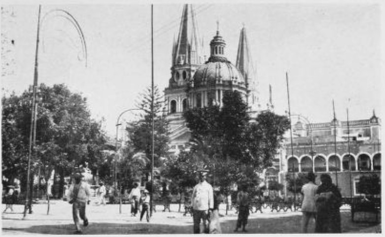 THE ORANGE TREES IN GUADALAJARA’S PLAZA WERE GOLDEN THROUGHOUT THE YEAR