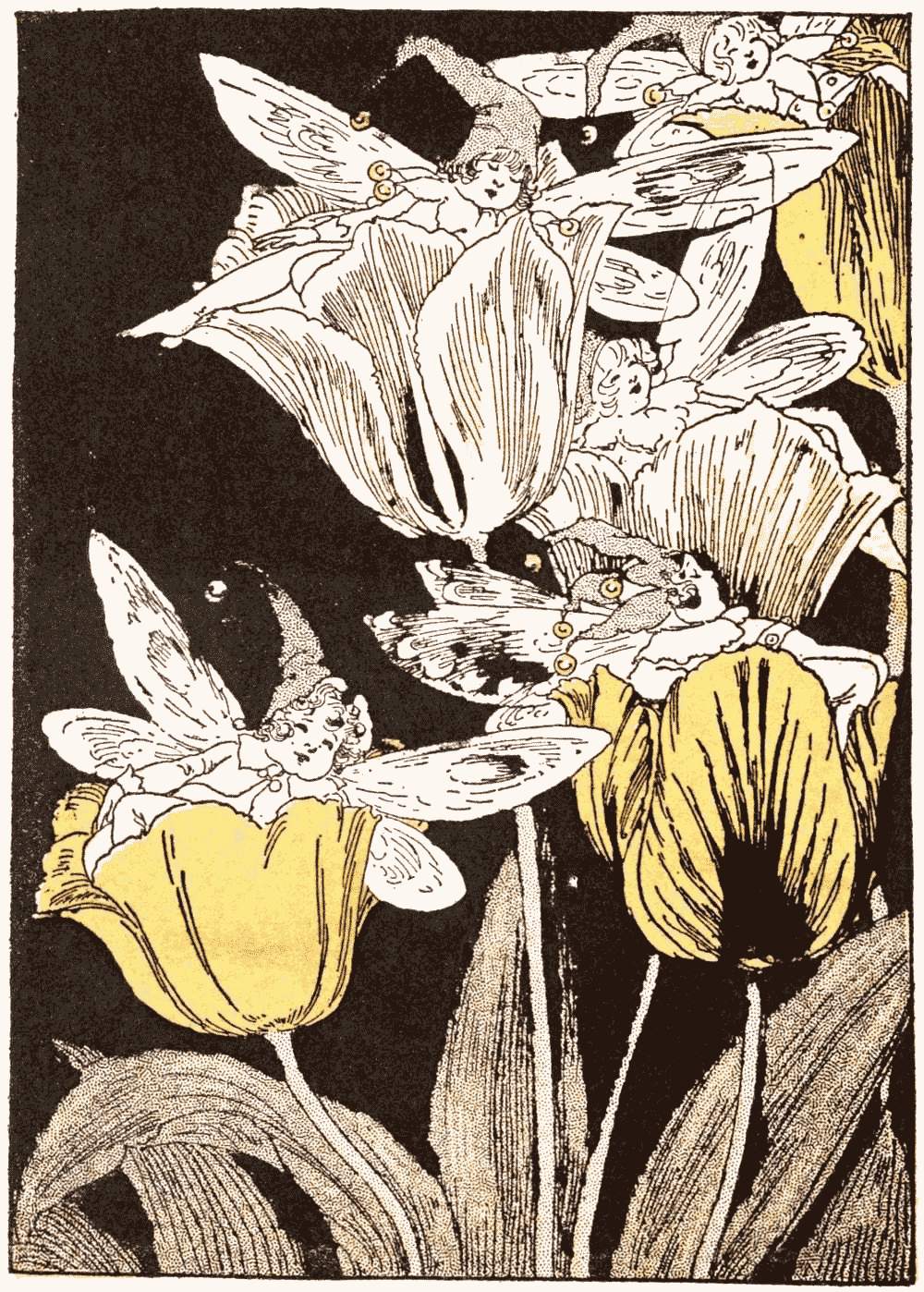 Fairies in tulips