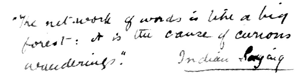 The network of words is like a big forest: it is the cause of curious wanderings