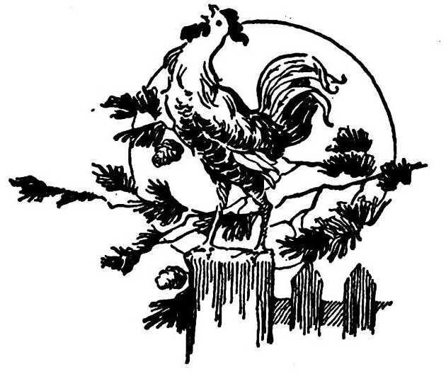 Rooster crowing