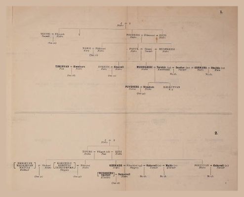 Genealogical Table