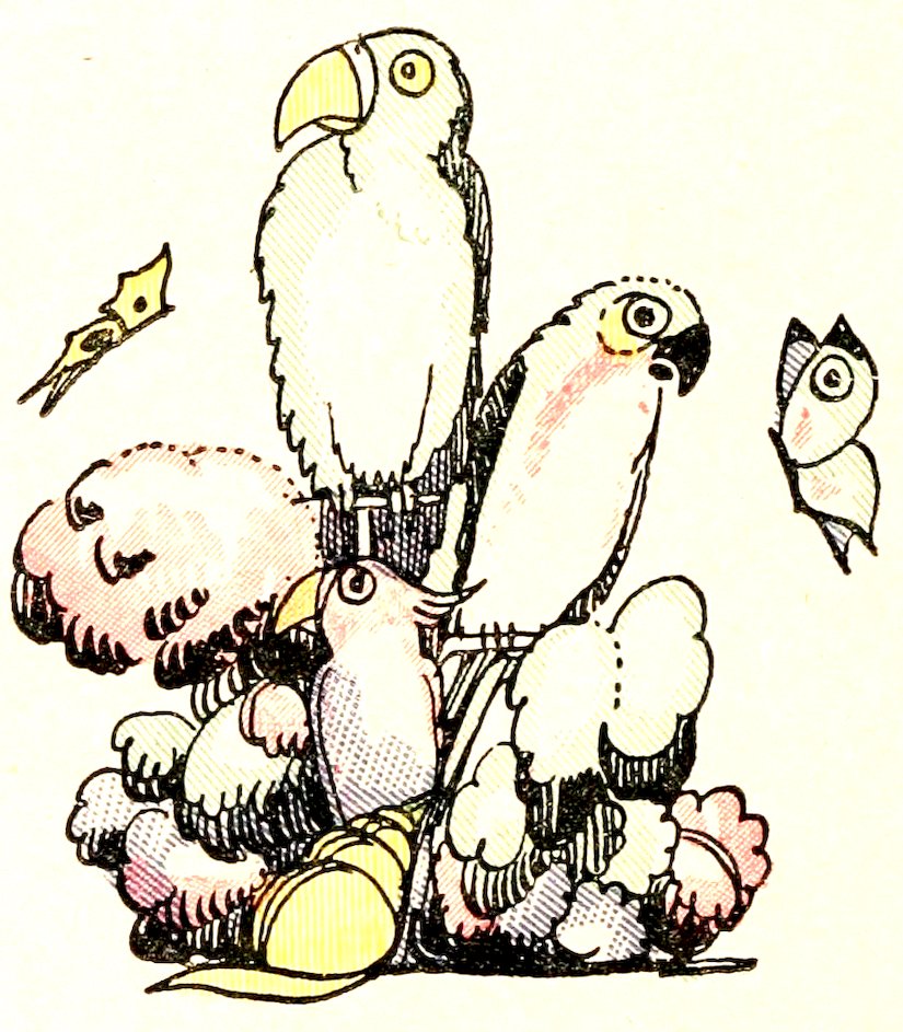 [Parrots]