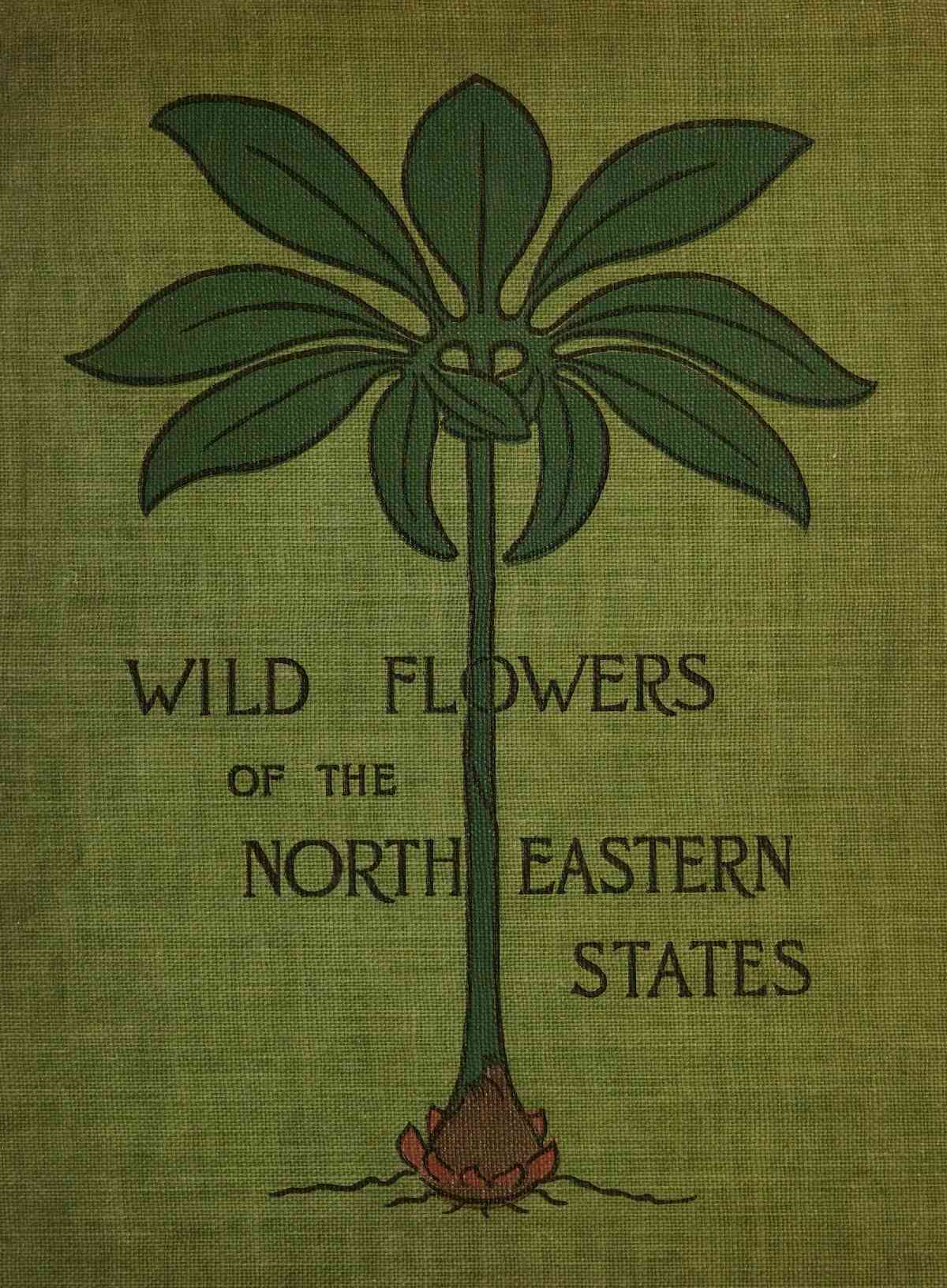 Front cover: Wild Flowers of the North Eastern States