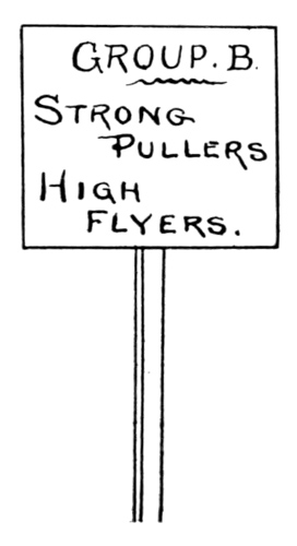 tournament sign