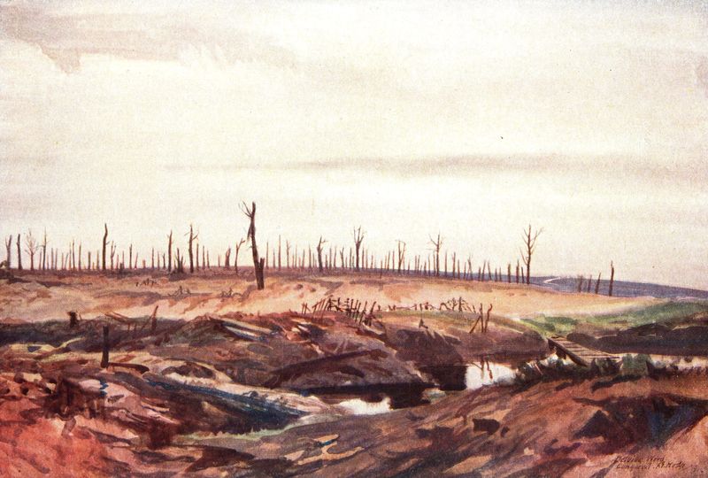 Trench landscape