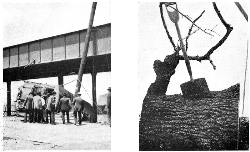 Tornado damage