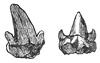 Fig. 73.