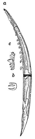 Fig. 90.