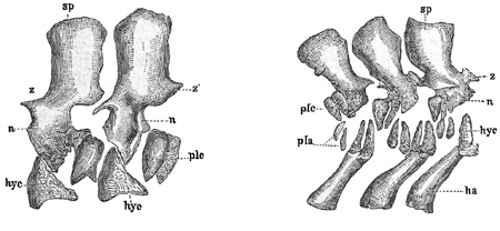 Fig. 270/271.