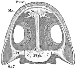 Fig. 277.