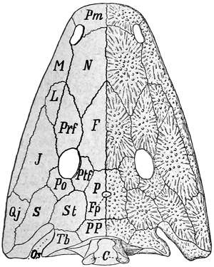 Fig. 307.