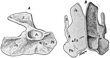 Fig. 321.