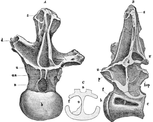 Fig. 430.