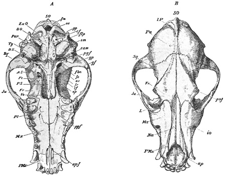 Fig. 476.