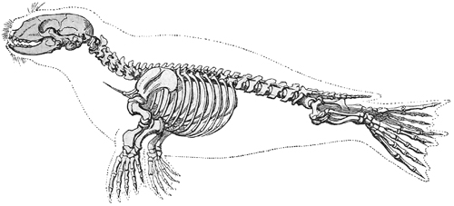 Fig. 569.