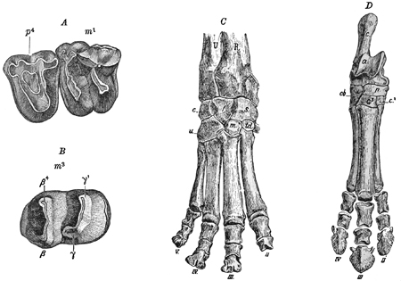 Fig. 621.