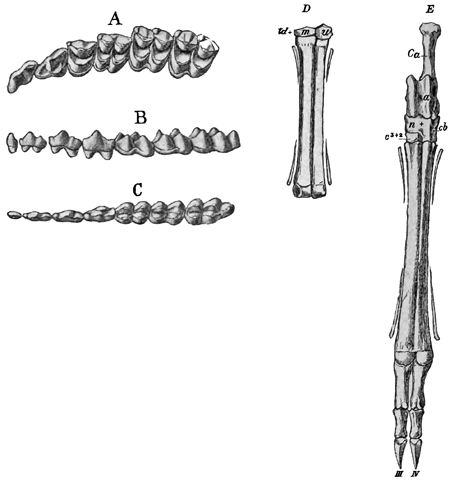 Fig. 680.