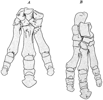 Fig. 714.