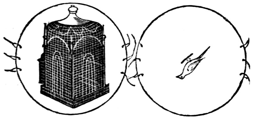 [How to Cage a Bird]