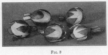 [Illustration: FIG. 8]