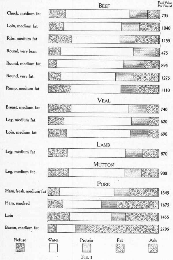 [Illustration: Fig 1.]