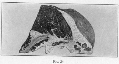 [Illustration: FIG. 24]