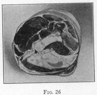 [Illustration: FIG. 26]