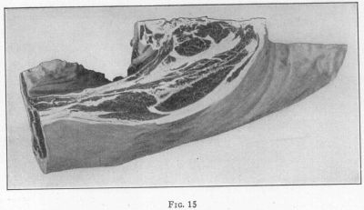 [Illustration: Fig. 15]