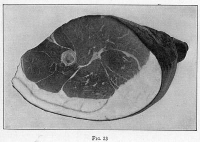 [Illustration: FIG. 23]